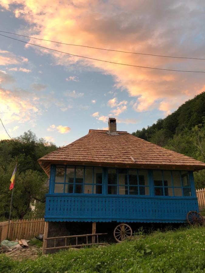 Вилла Casa Albastra Бэи­ле-Олэ­неш­ти Экстерьер фото